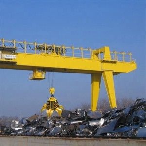 20t industriële Brugkraan met greep