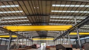 Veelvoudige Modellen 50 Ton Overhead Crane